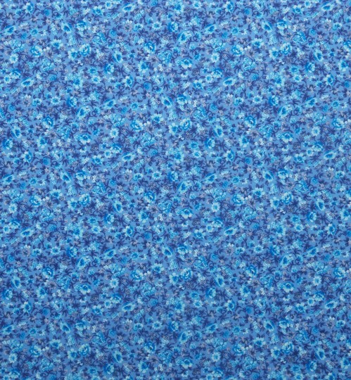 SCUBA